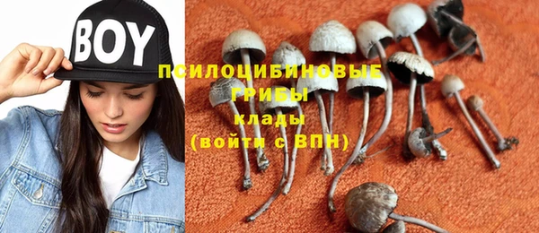 apvp Гусь-Хрустальный
