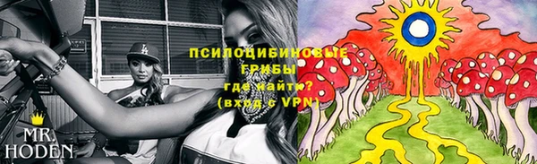 MDMA Premium VHQ Гусиноозёрск