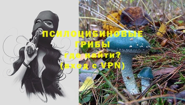 MDMA Premium VHQ Гусиноозёрск